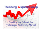 Energy and Synergy Group